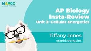 AP Biology Unit 3 Cellular Energetics Review